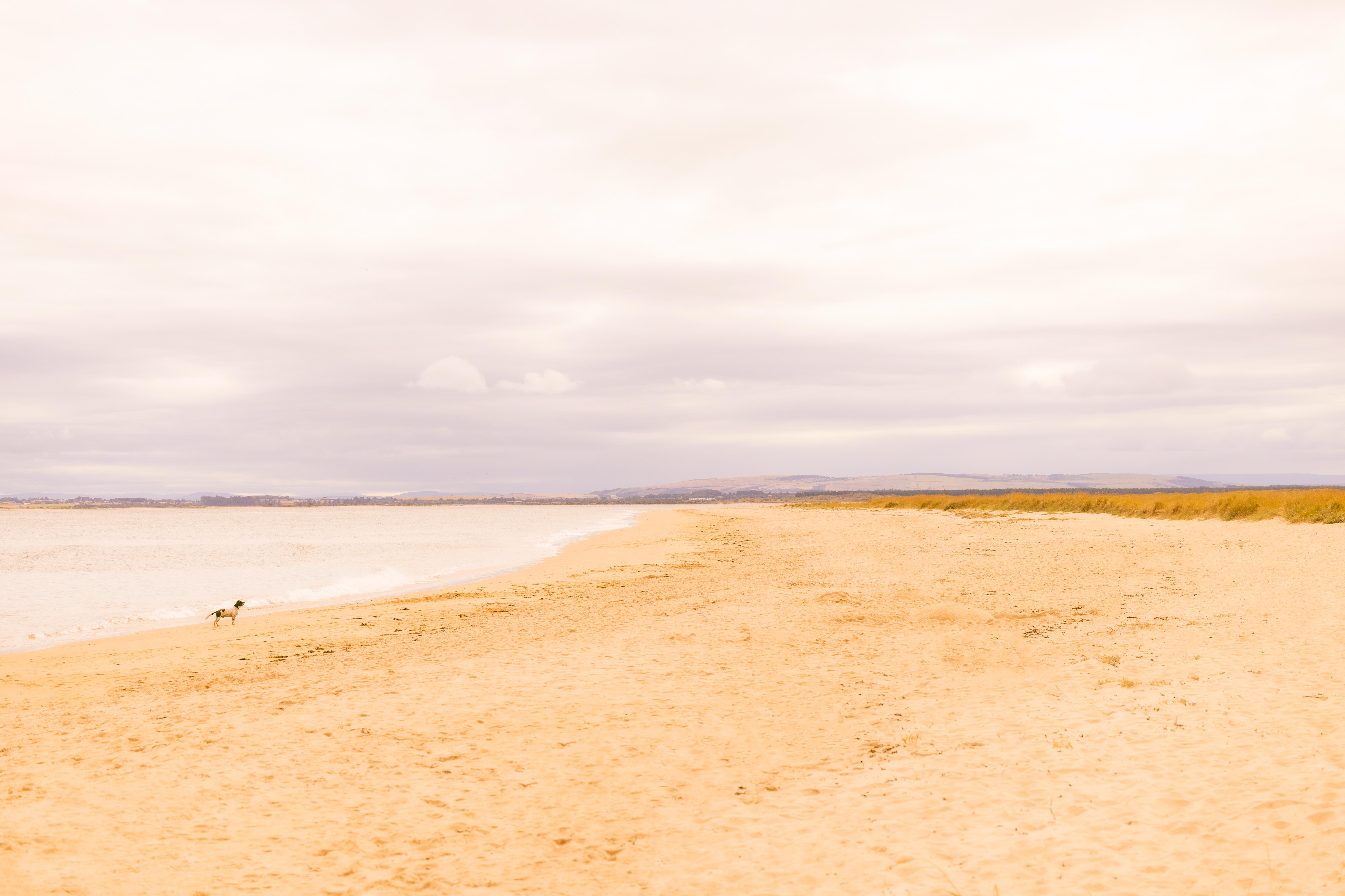 Hotel Dornoch Station Exteriér fotografie The beach at West Bay